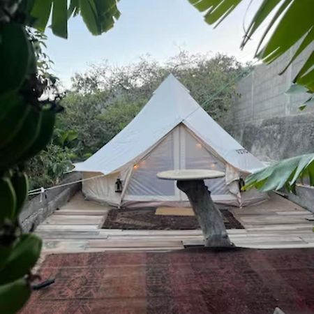 Yurt In Avocado Garden Hotel กวีมาร์ ภายนอก รูปภาพ
