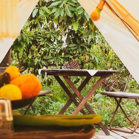 Yurt In Avocado Garden Hotel กวีมาร์ ภายนอก รูปภาพ