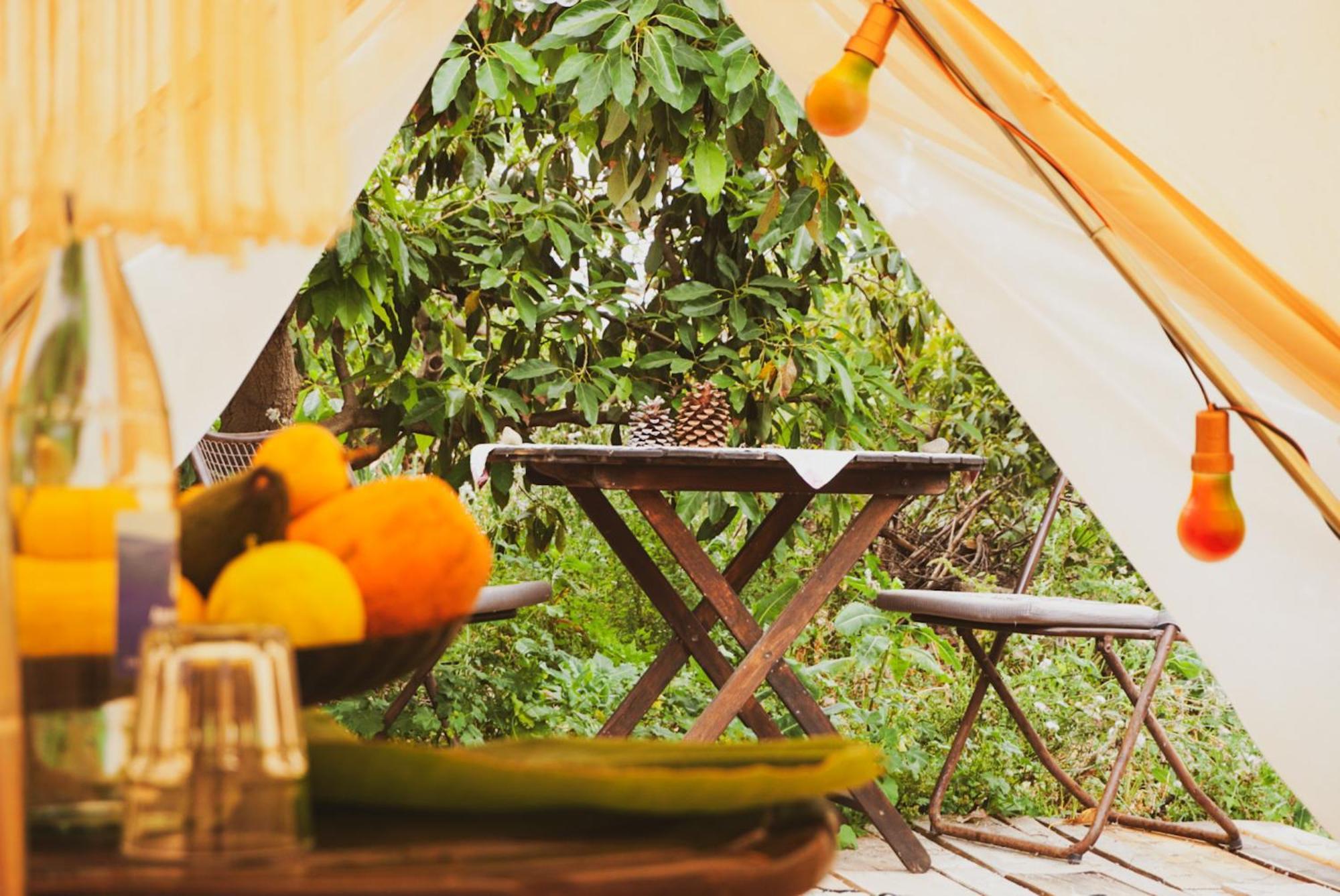 Yurt In Avocado Garden Hotel กวีมาร์ ภายนอก รูปภาพ